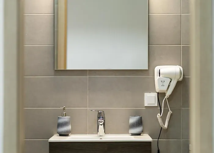 Апартаменты Matei Basarab Chic