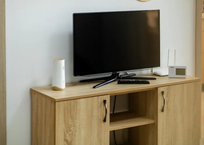 Apartment Matei Basarab Chic *