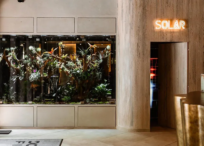 Apartment Matei Basarab Chic